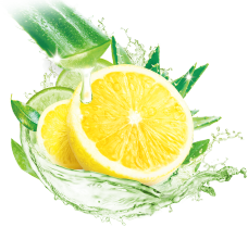 檸檬及蘆薈萃取成分，給你草本清新好口氣